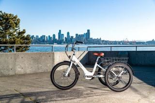 Marques de trottinettes électriques : guide de l'écosystème 2026